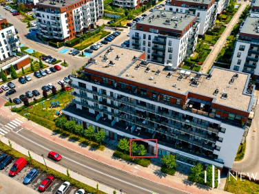 Lokal Katowice