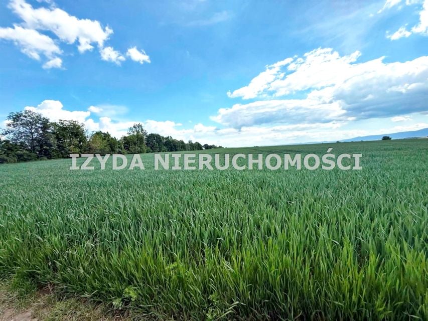 Działka budowlana Boleścin