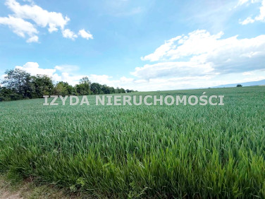 Działka budowlana Boleścin