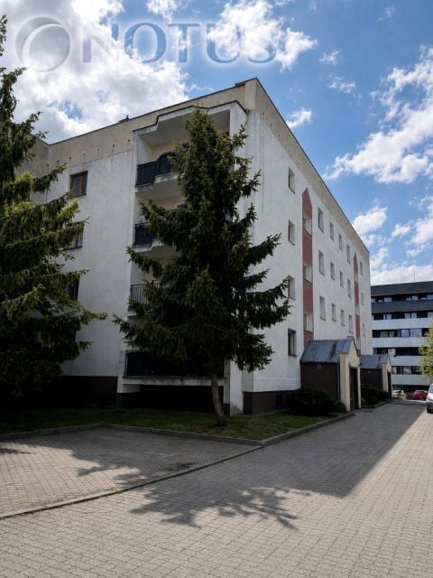 Zdjęcie 2