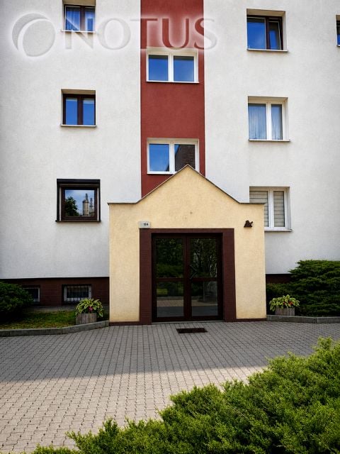 Zdjęcie 3