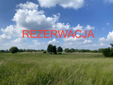 Działka siedliskowa Wola Wągrodzka