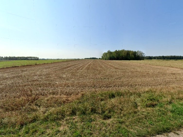 Działka Nowe Zakrzewo