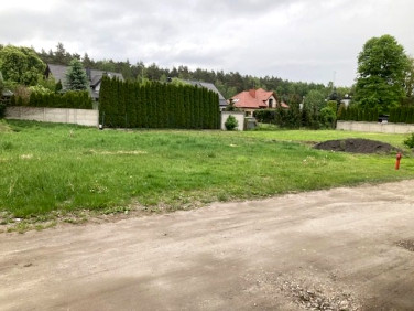 Działka Sanie