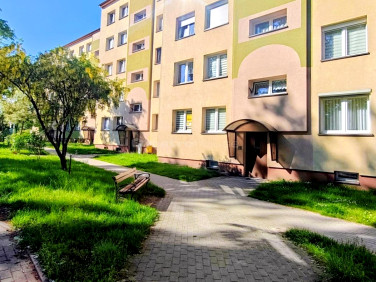 Mieszkanie Bolesławiec