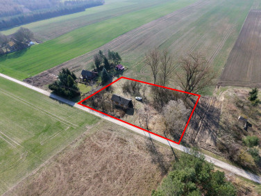 Działka siedliskowa Wodzisław