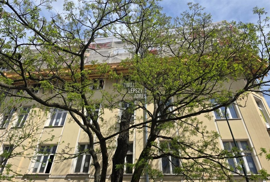 Zdjęcie 3