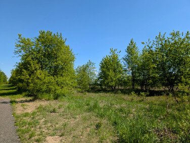 Działka Kalej