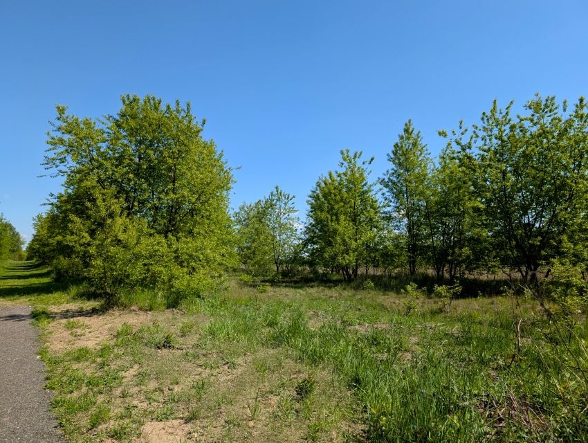 Działka Kalej