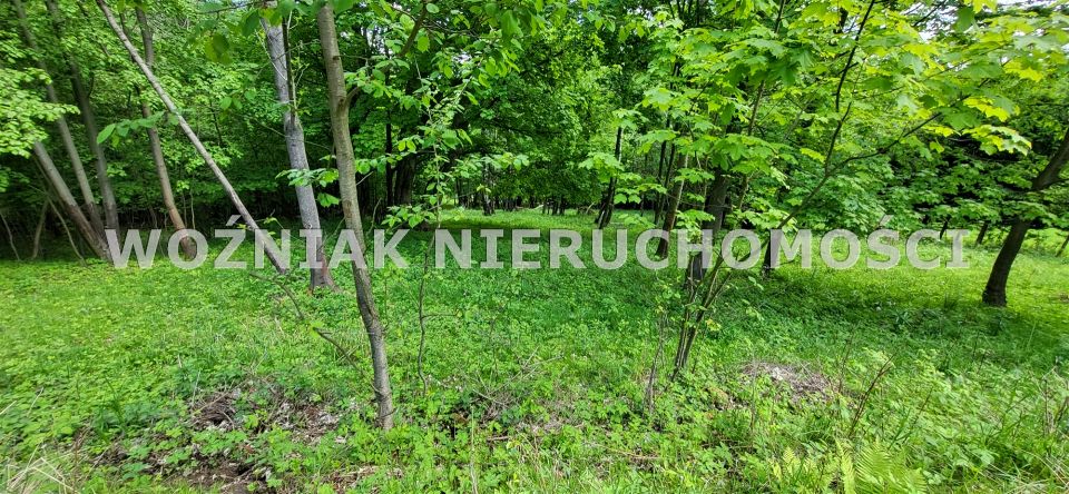 Działka budowlana Walim