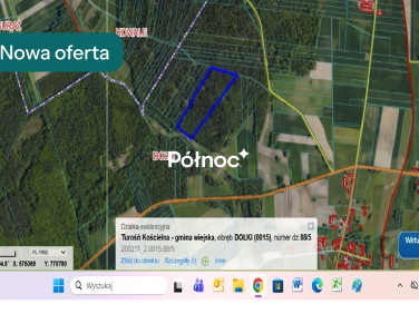 Działka leśna Dołki