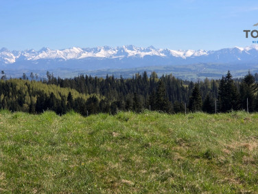 Działka Rdzawka