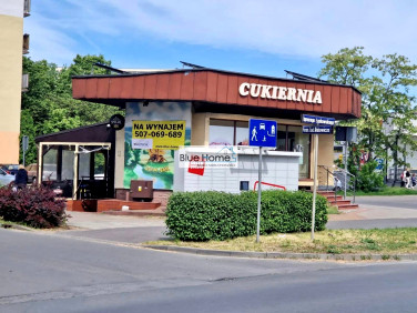 Lokal Toruń