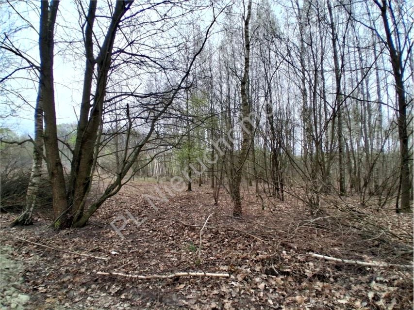 Działka budowlano-rolna sprzedam