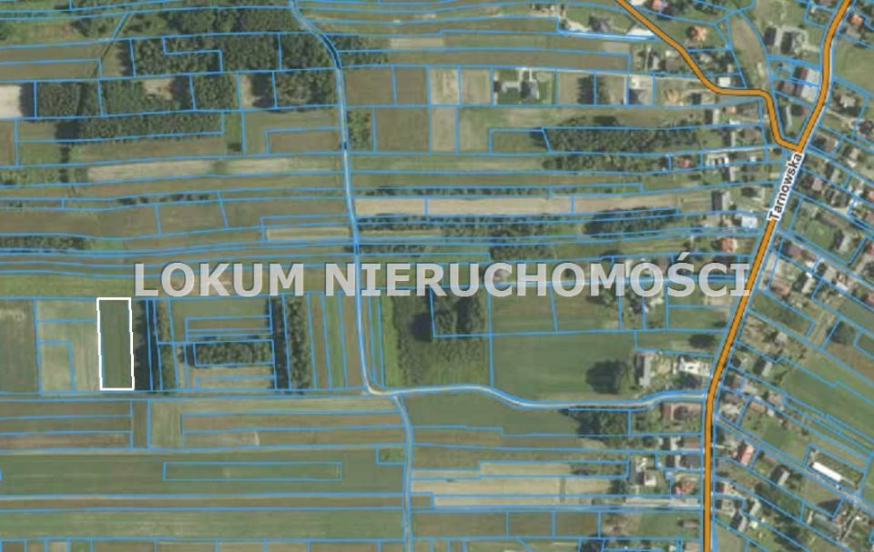 Działka rolna Luszowice