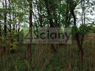 Działka budowlana Stanisławów Drugi