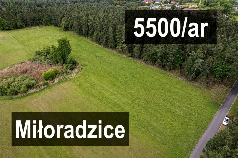 Pusta działka Miłoradzice