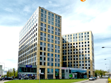 Lokal Warszawa