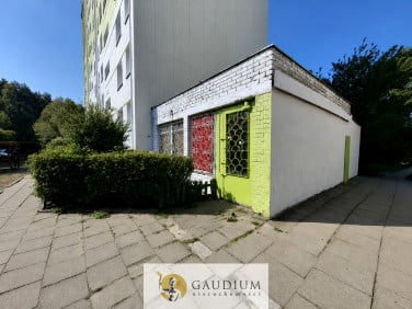 Lokal Gdynia