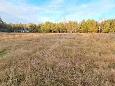 Działka Czarnocin