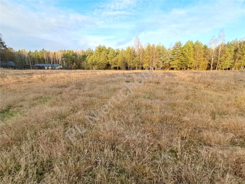 Działka Czarnocin