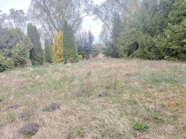 Działka budowlana Jeleń