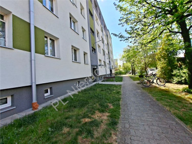 Mieszkanie Mińsk Mazowiecki sprzedaż