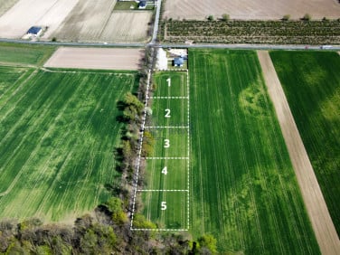 Działka Syców