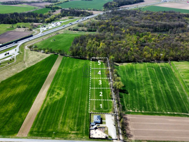 Działka Syców
