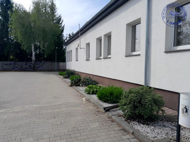 Lokal Leszno wynajem
