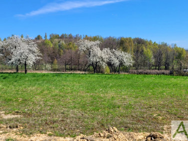 Działka Zelków