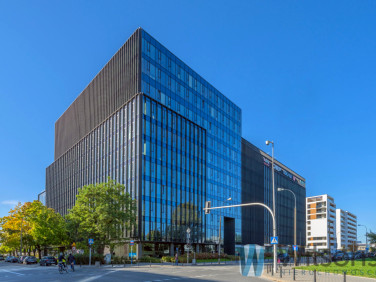 Lokal Warszawa