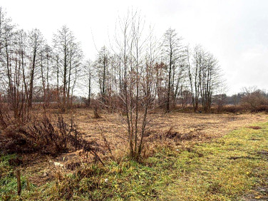 Działka budowlana Jaktorów-Kolonia