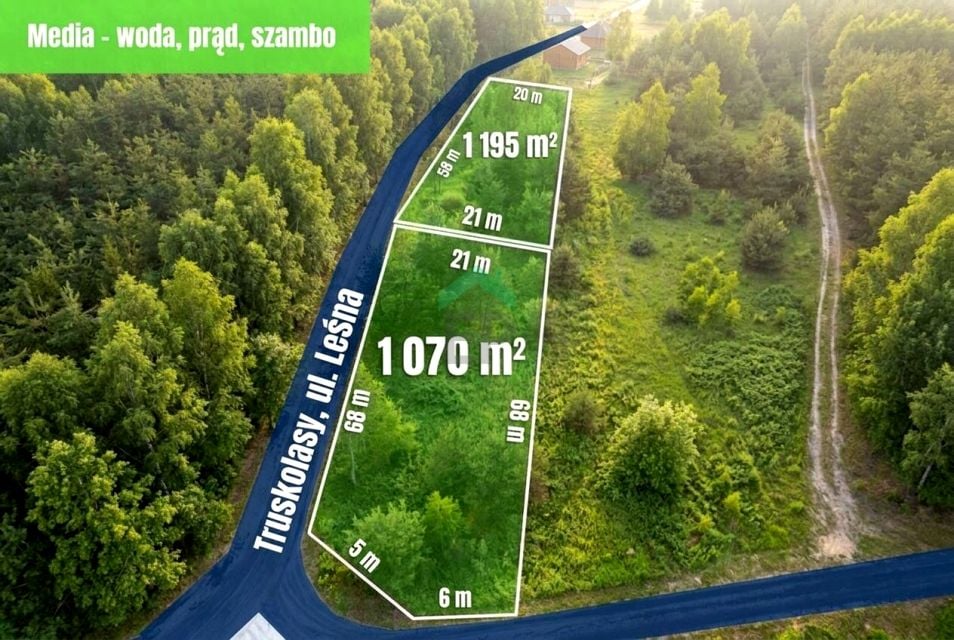 Zdjęcie 3