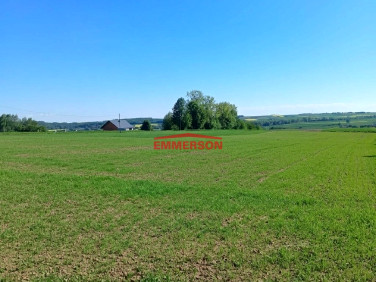 Działka budowlana Minoga