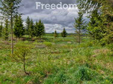 Działka nad jeziorem