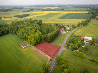 Działka Barty