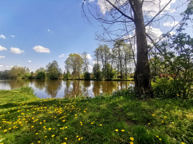 Działka usługowa Grodzisk Mazowiecki