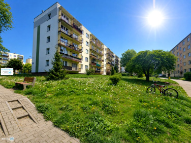 Mieszkanie Kielce