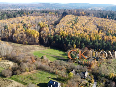 Działka Cisów