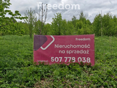 Działka Pupki