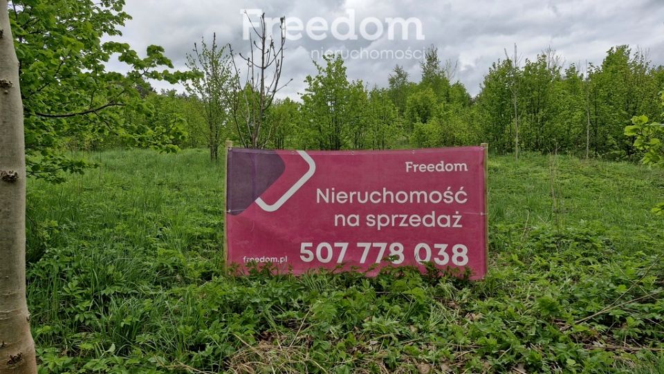 Działka Pupki