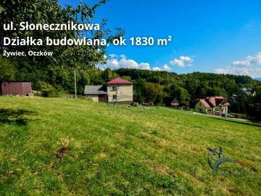 Działka budowlana Żywiec
