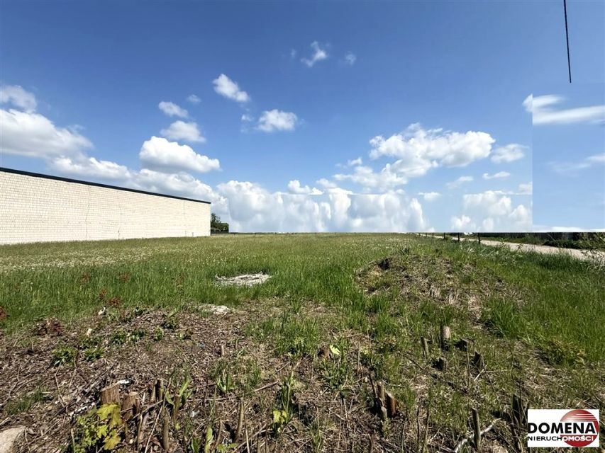 Działka Kuriany