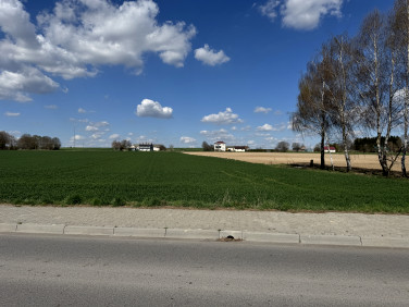 Działka budowlana Czołki