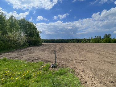 Działka rolna Kamienna Nowa