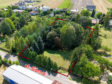 Działka budowlana Dąbrowa Zielona