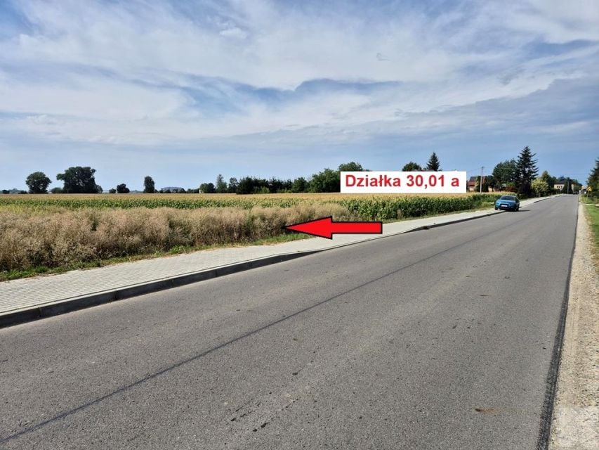 Działka budowlana Niziny