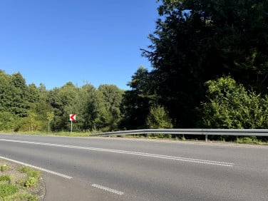 Działka rolna Rusinowo