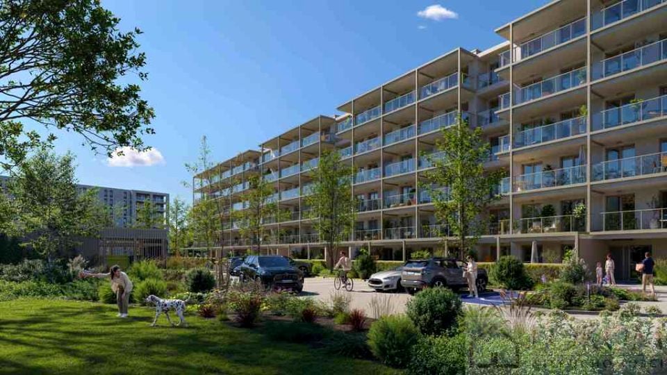 Zdjęcie 2